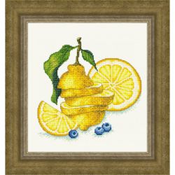Набор для вышивания Сделано с любовью ВИ-023 "Сочный лимон", 20х20