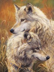 АЖ-1403 Картина стразами Алмазная живопись "Волчья нежность"