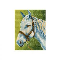 С173 Набор для вышивания РТО "Белый конь"