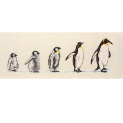 PCE751 "Пингвины в ряд" (Anchor)
