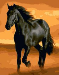 GX 32937 Картина по номерам Paintboy "Черный конь"