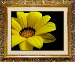 N-101 Алмазная мозаика Милато "Желтый цветок"
