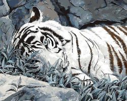 GX 9629 Картина по номерам Paintboy "Белый тигр" (худ. Билод Люси)