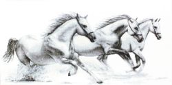 G495 Набор для вышивания Luca-S "Белые лошади"