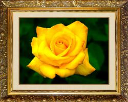 N-126 Алмазная мозаика Милато "Желтая роза"